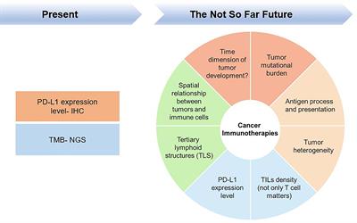 Cancer Immunotherapies: From Efficacy to Resistance Mechanisms – Not Only Checkpoint Matters